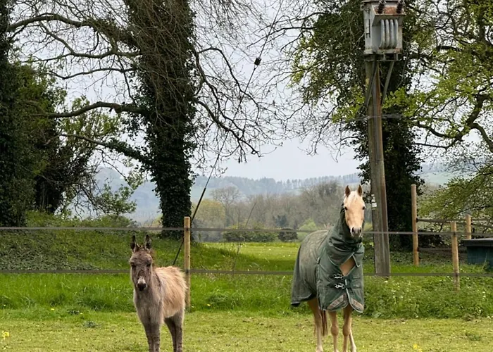 The Stud House At Danebury