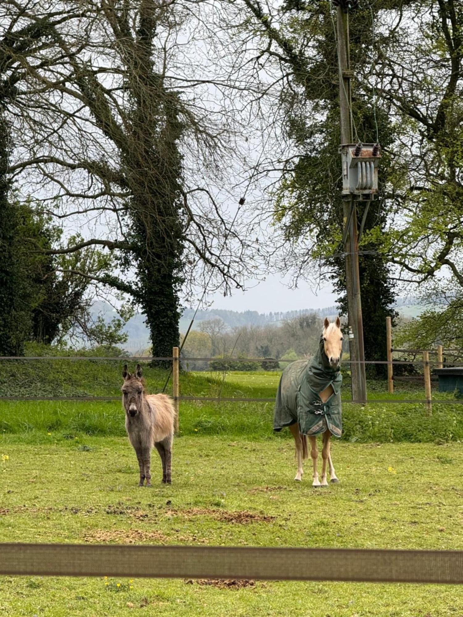 The Stud House At Danebury * Stockbridge (Hampshire)