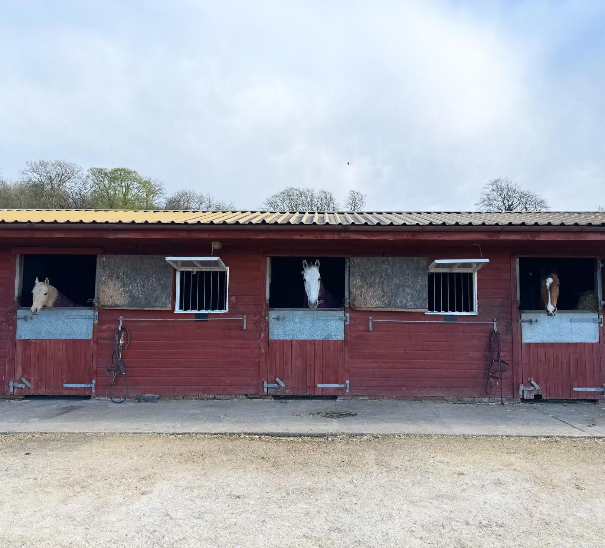 Holiday home The Stud House At Danebury *